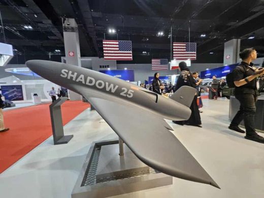 DSA and NATSEC 2024