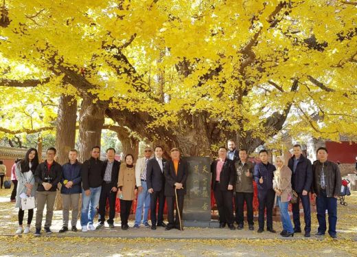 International Secretariat of the IUAIA